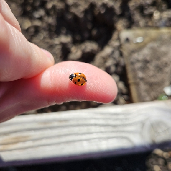 Meet your Posher, Hannah - Picture 10 of 13